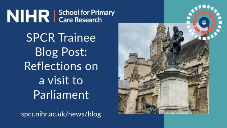 SPCR Trainee Blog Post: Reflections on a visit to Parliament